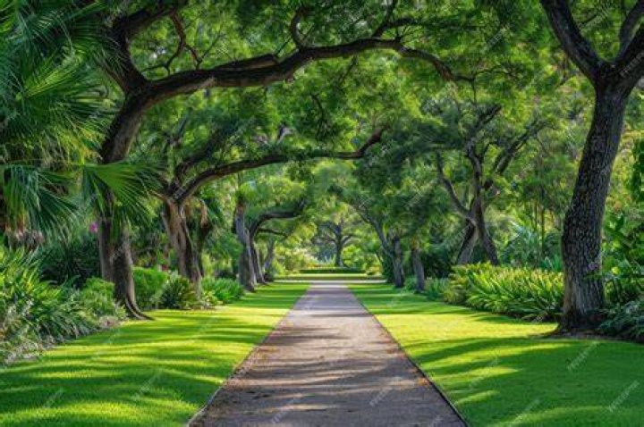  View of a green tree-lined valley with a river