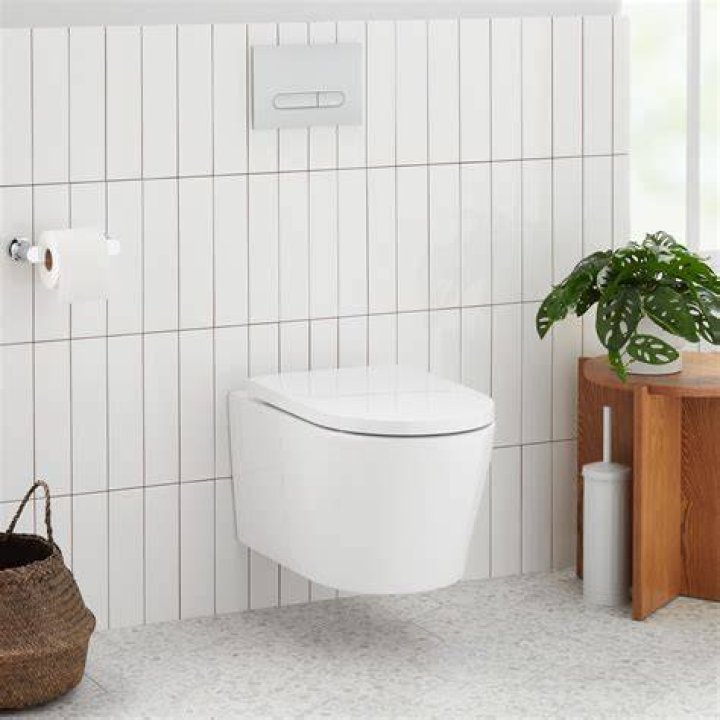 Wall Mount Toilet