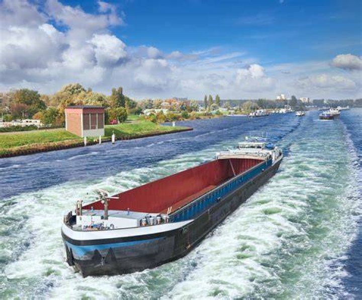 Water transportation, Water, Waterway, Swan boat, Swan, Boat, Vehicle, Mode of transport, Water bird, Canal, 