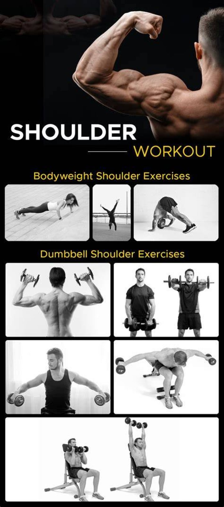 Weights, Exercise equipment, Muscle, Shoulder, Arm, Dumbbell, Standing, Kettlebell, Sports equipment, Bodybuilding, weights, exercise equipment, muscle, shoulder, arm, dumbbell, standing, kettlebell, sports equipment, bodybuilding,