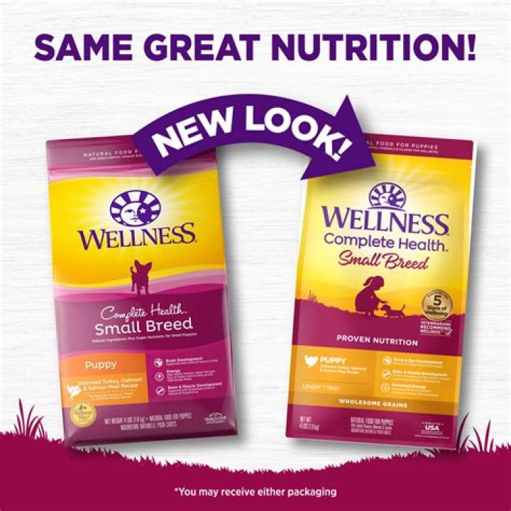 Wellness Small Breed Complete Health Senior Deboned Turkey & Peas Recipe