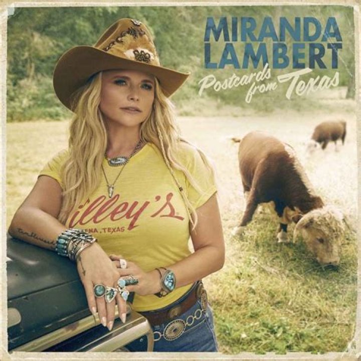 What to Know About Miranda Lambert's New Husband Brendan McLoughlin E