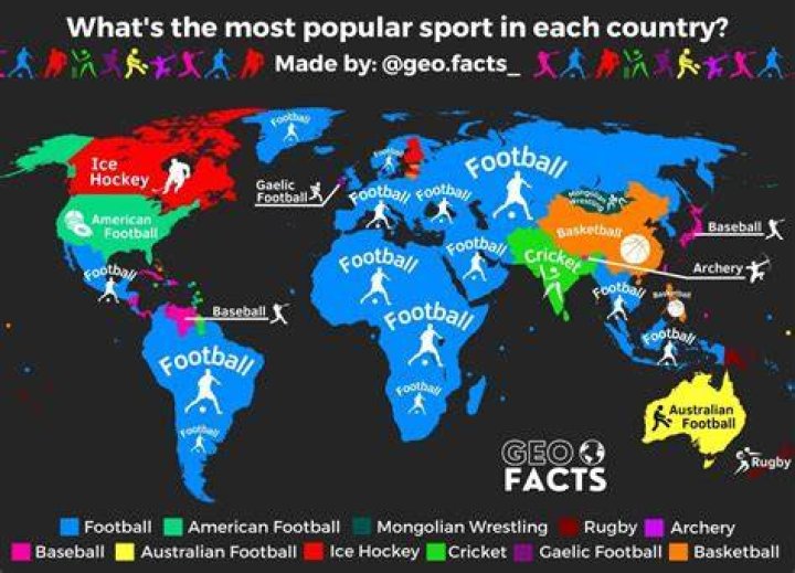 Which sport gives the best contracts?