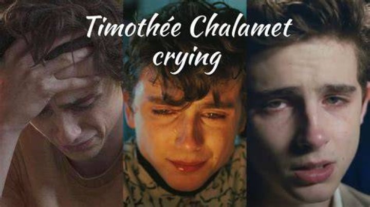 Why is Timoth&eacute;e Chalamet so famous?