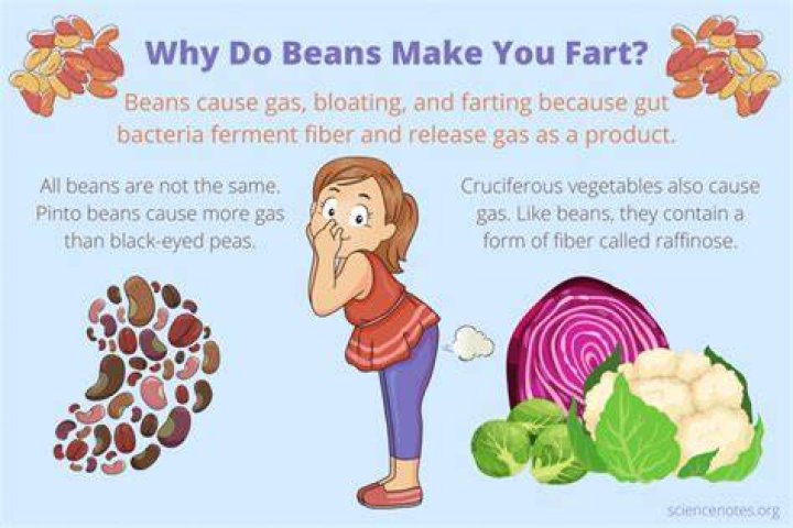 why protein makes you fart causes, treatments, tricks, tips, cures