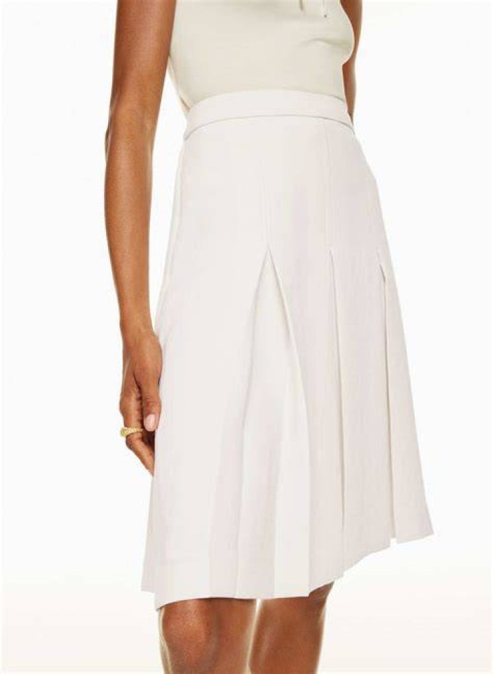 Windmill Pleated Skirt