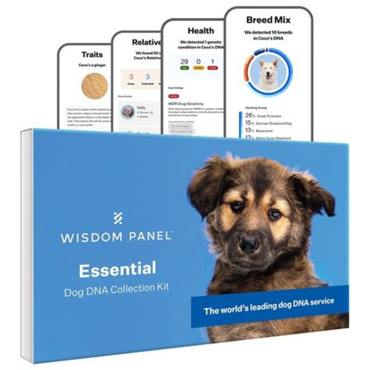 Wisdom Panel Essential Breed Identification DNA Test for Dogs