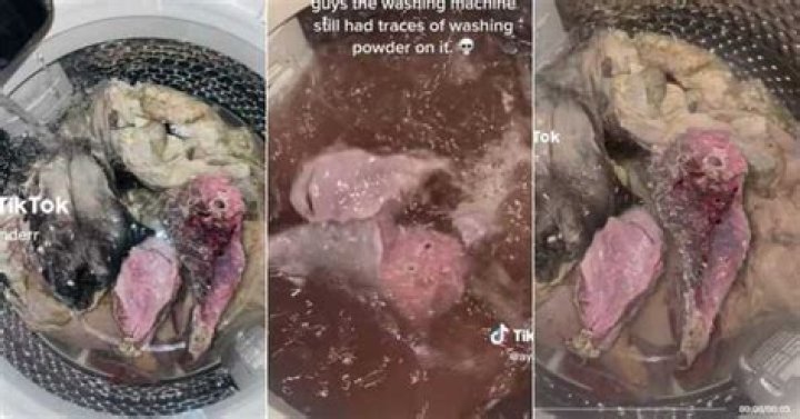 Woman Cleans Mogodu in Washing Machine, TikTok Food Hack Gets Over 3M Views and Mzansi Can’t Deal