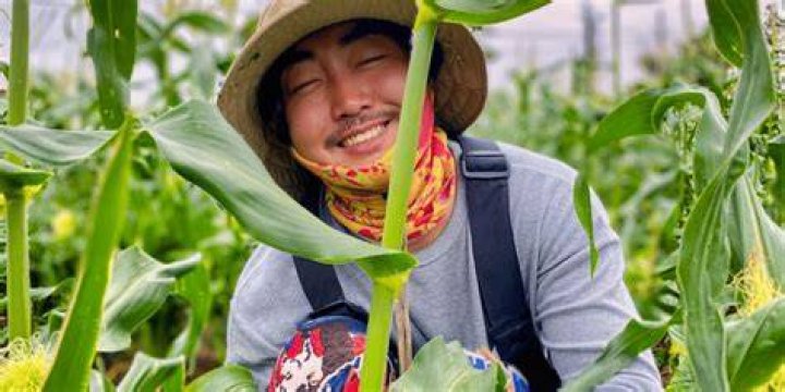 Working Holiday Support in South Korea