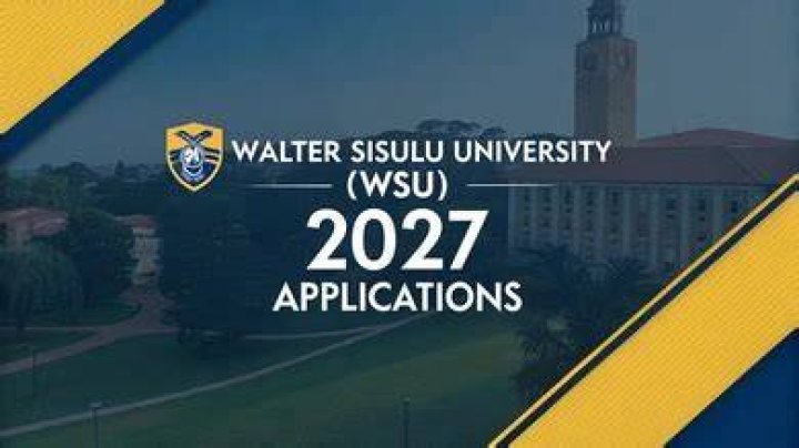 wsu online application 2021