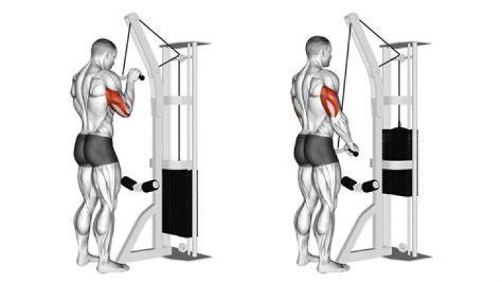Your Arms Will Love This Triceps Pushdown Hack